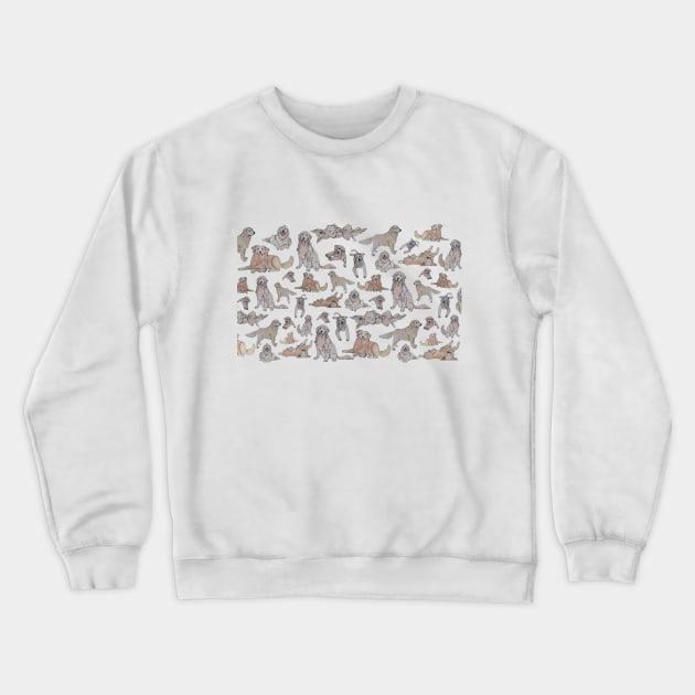 golden obsession Crewneck Sweatshirt by colleendavis72